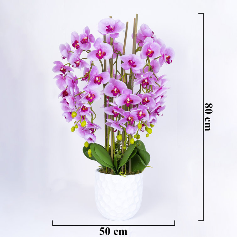 Accent Collection Large Faux Orchid Plant in White Base Planter, Beautiful Artificial Plant, 80